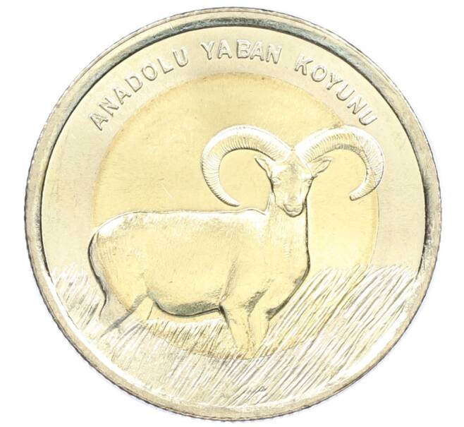 Монета 1 лира 2015 года Турция «Фауна Турции — Муфлон» (Артикул: M2-82906) — Фото №1