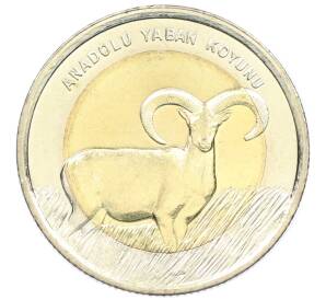 1 лира 2015 года Турция «Фауна Турции — Муфлон» — Фото №1