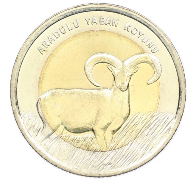 Монета 1 лира 2015 года Турция «Фауна Турции — Муфлон» (Артикул: M2-82907) — Фото №1