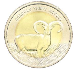 1 лира 2015 года Турция «Фауна Турции — Муфлон» — Фото №1