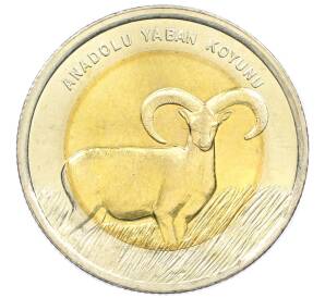 1 лира 2015 года Турция «Фауна Турции — Муфлон» — Фото №1