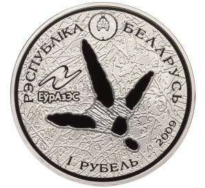 1 рубль 2009 года Белоруссия «Животный мир стран ЕврАзЭС — Белый аист» — Фото №2