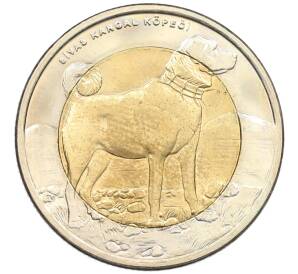 1 лира 2010 года Турция «Фауна Турции — Собака» — Фото №1