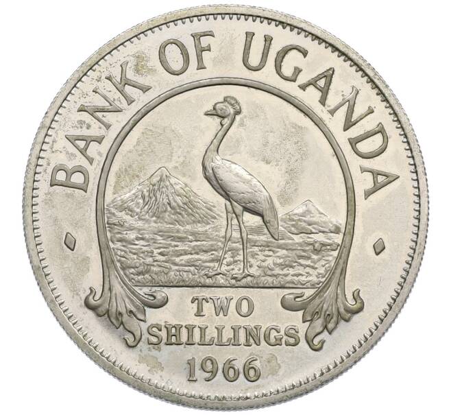 Монета 2 шиллинга 1966 года Уганда (Артикул: K12-48958) — Фото №1