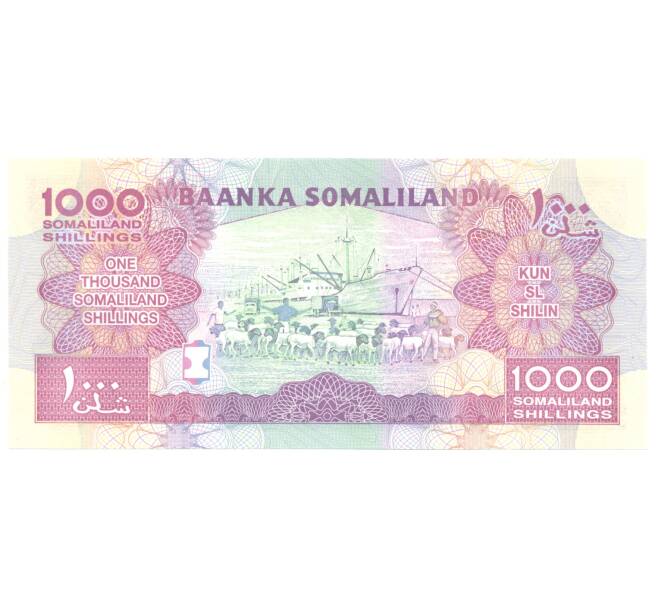 Банкнота 1000 шиллингов 2014 года Сомалиленд (Артикул: B2-4114) — Фото №2