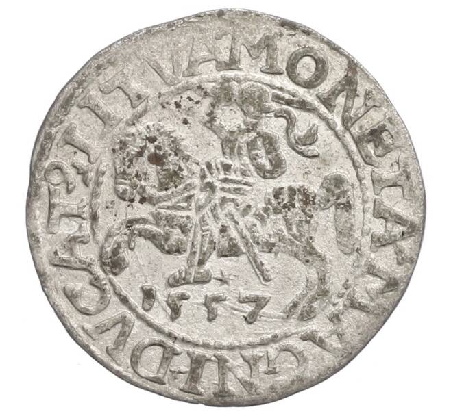 Монета 1/2 гроша 1557 года Литва (Сигизмунд II Август) (Артикул: K27-86745) — Фото №1