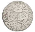 Монета 1/2 гроша 1557 года Литва (Сигизмунд II Август) (Артикул: K27-86745) — Фото №2
