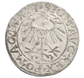 1/2 гроша 1557 года Литва (Сигизмунд II Август) — Фото №2