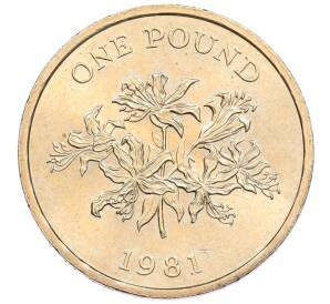 1 фунт 1981 года Гернси — Фото №1