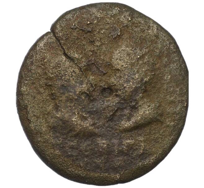 Монета Асс 241-244 года Римская Империя — Гордиан III и Транквиллина (Артикул: T11-18850) — Фото №1