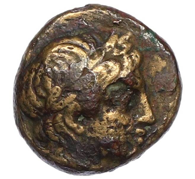 Монета АЕ10 Голова Диониса (Артикул: T11-19330) — Фото №1