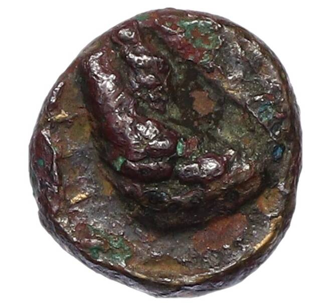 Монета АЕ10 Голова Диониса (Артикул: T11-19330) — Фото №2