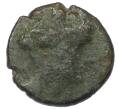 Монета AE18 Древняя Греция (Артикул: T11-19390) — Фото №1