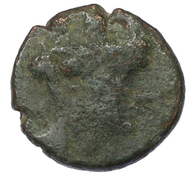 Монета AE18 Древняя Греция (Артикул: T11-19390) — Фото №1