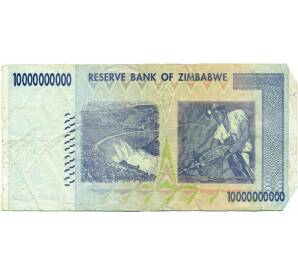 10 миллиардов долларов 2008 года Зимбабве — Фото №2