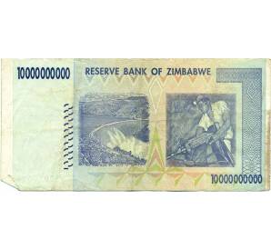 10 миллиардов долларов 2008 года Зимбабве — Фото №2