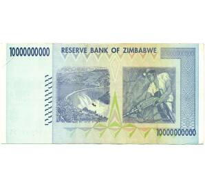 10 миллиардов долларов 2008 года Зимбабве — Фото №2