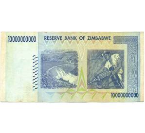 10 миллиардов долларов 2008 года Зимбабве — Фото №2