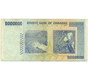10 миллиардов долларов 2008 года Зимбабве — Фото №2
