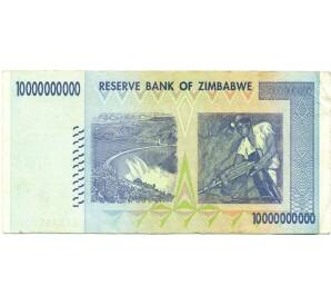 10 миллиардов долларов 2008 года Зимбабве — Фото №2