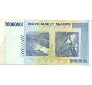 10 миллиардов долларов 2008 года Зимбабве — Фото №2