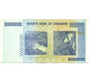 10 миллиардов долларов 2008 года Зимбабве — Фото №2