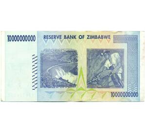10 миллиардов долларов 2008 года Зимбабве — Фото №2