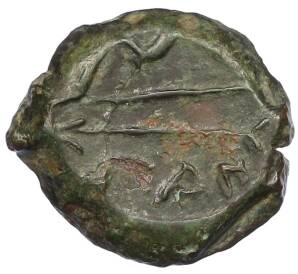 Обол 275-250 года до н.э. Боспорское царство (Пантикапей) — Фото №2