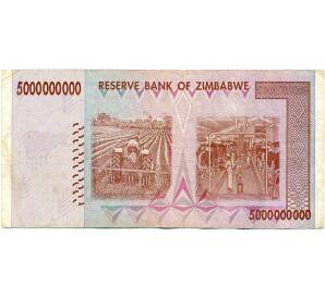 5 миллиардов долларов 2008 года Зимбабве — Фото №2