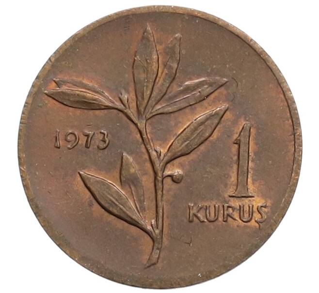 Монета 1 куруш 1973 года Турция (Артикул: K12-57112) — Фото №1