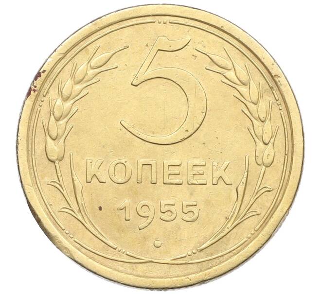 Монета 5 копеек 1955 года (Артикул: K12-57412) — Фото №1