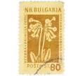 Почтовая марка 80 стотинок 1954 года Болгария (Артикул: K12-58245) — Фото №1