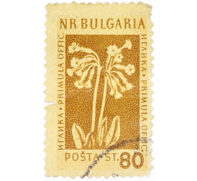 Почтовая марка 80 стотинок 1954 года Болгария (Артикул: K12-58245) — Фото №1