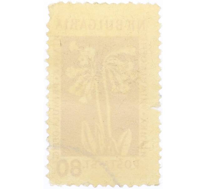 Почтовая марка 80 стотинок 1954 года Болгария (Артикул: K12-58245) — Фото №2