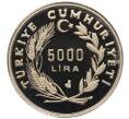 Монета 5000 лир 1992 года Турция «500 лет мира и гармонии — турецкие евреи» (Артикул: M2-85377) — Фото №2