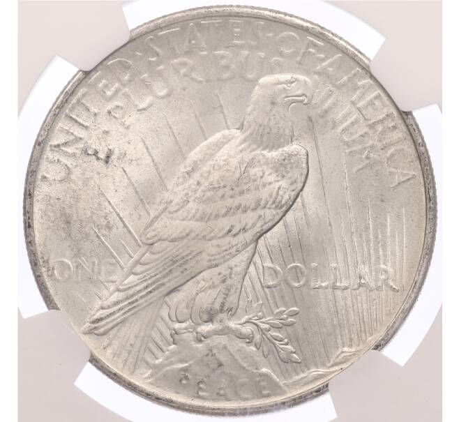 Монета 1 доллар 1925 года США — в слабе NGC (MS64) (Артикул: M2-85397) — Фото №2