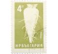 Почтовая марка 4 стотинки 1965 года Болгария «Сахарная свекла» (Артикул: K12-62699) — Фото №1