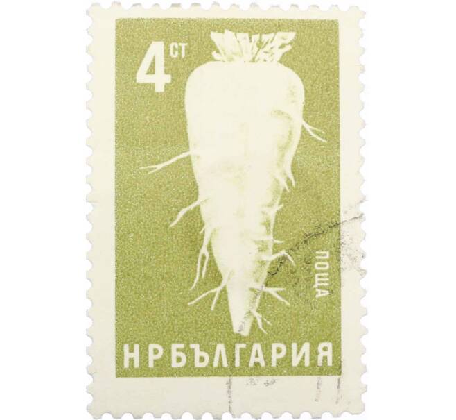 Почтовая марка 4 стотинки 1965 года Болгария «Сахарная свекла» (Артикул: K12-62699) — Фото №1