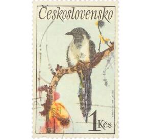 Почтовая марка 1 крона 1925 года Чехословакия «Евразийская сорока» — Фото №1