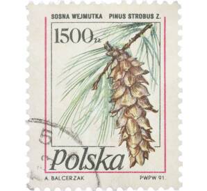 Почтовая марка 1500 злотых 1991 года Польша «Восточная белая сосна» — Фото №1