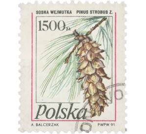 Почтовая марка 1500 злотых 1991 года Польша «Восточная белая сосна» — Фото №1