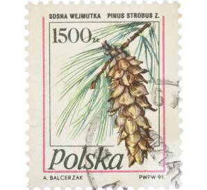 Почтовая марка 1500 злотых 1991 года Польша «Восточная белая сосна» — Фото №1