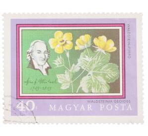 Почтовая марка 40 филлеров 1971 года Венгрия «Йозеф Якоб Винтерль» — Фото №1