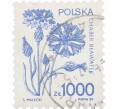 Почтовая марка 1000 злотых 1989 года Польша «Василек голубой» (Артикул: K12-63379) — Фото №1
