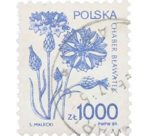 Почтовая марка 1000 злотых 1989 года Польша «Василек голубой» — Фото №1