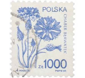 Почтовая марка 1000 злотых 1989 года Польша «Василек голубой» — Фото №1