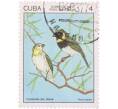 Почтовая марка 4 сентаво 1977 года Куба «Tiaris canora» (Артикул: K12-63387) — Фото №1
