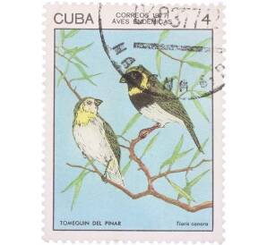 Почтовая марка 4 сентаво 1977 года Куба «Tiaris canora» — Фото №1