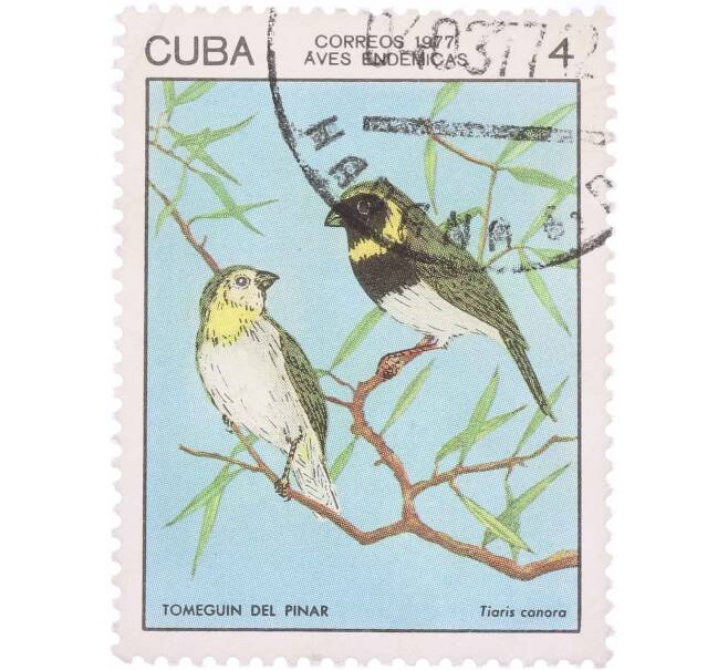 Почтовая марка 4 сентаво 1977 года Куба «Tiaris canora» (Артикул: K12-63387) — Фото №1