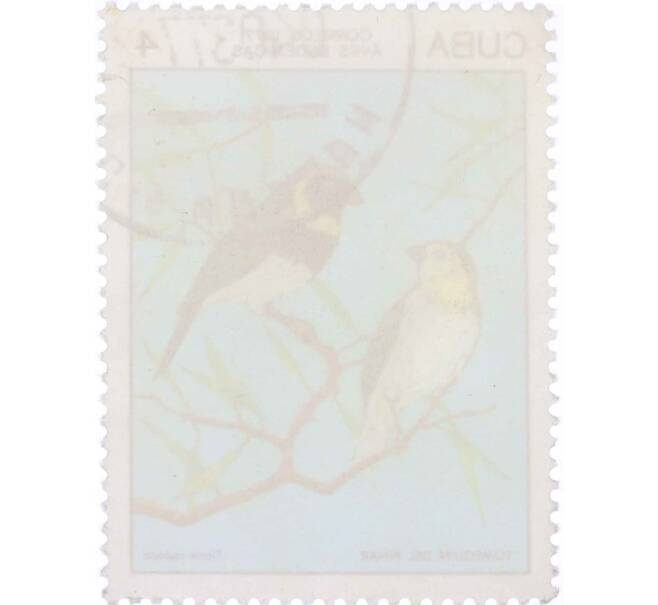 Почтовая марка 4 сентаво 1977 года Куба «Tiaris canora» (Артикул: K12-63387) — Фото №2